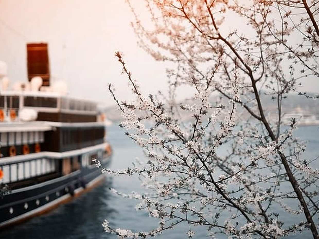 Private Transfer: Berlin to River Cruise Dock Nuremberg - Port/Harbor transport, photo 5