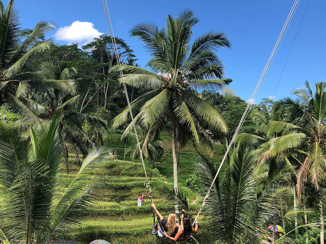 Mt Batur Sunrise Trekking, Jungle Swing & Rýžová terasa v Indonésii, Bali., photo 2