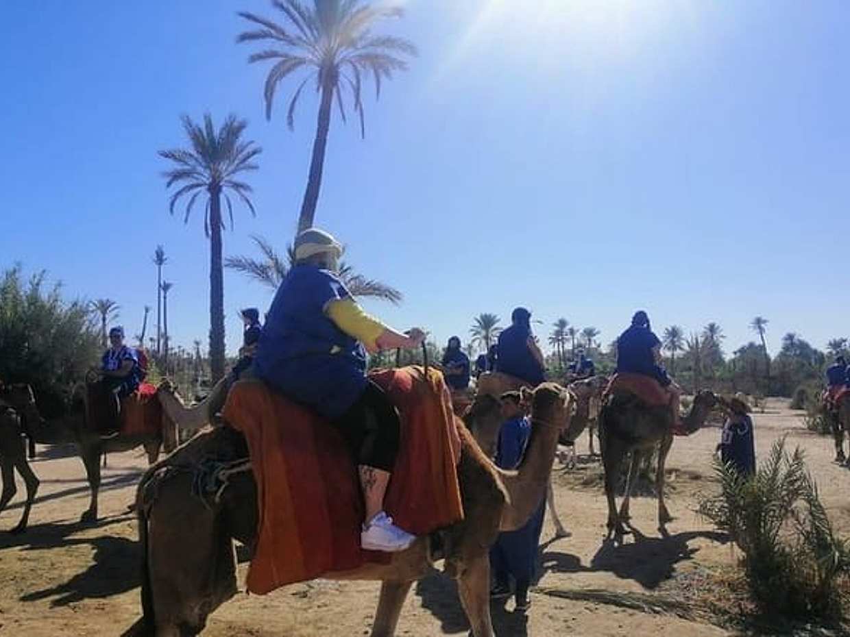 1 Hour Camel Ride in the palm groves of Marrakech, photo 2