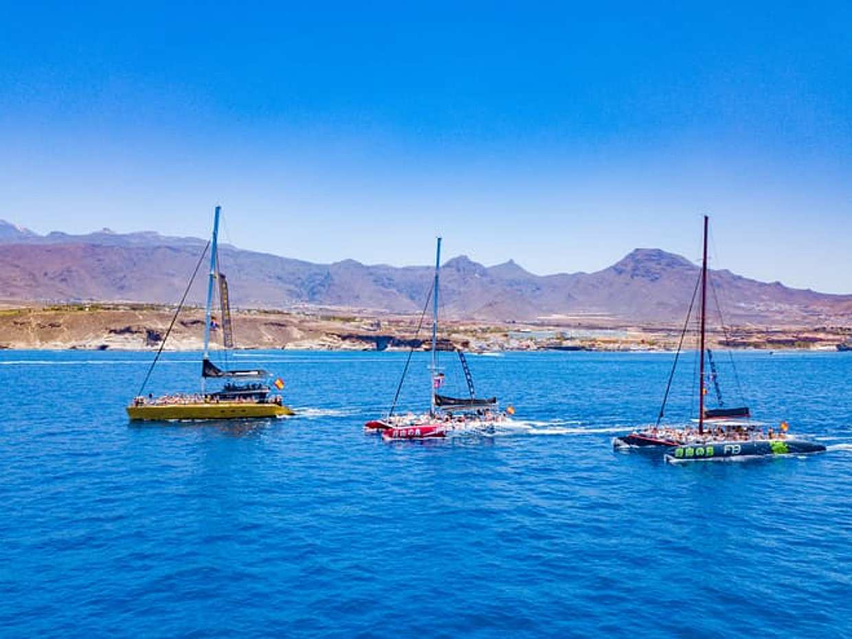 Whale Watching Catamaran in Costa Adeje