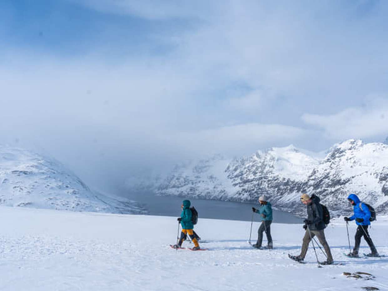 Tromsø: Snowshoe Hike with Local Guides, photo 3