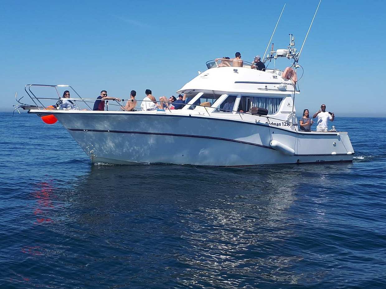 4 hour Private Fishing Trip- Up to 10 people in Portugal, Cascais