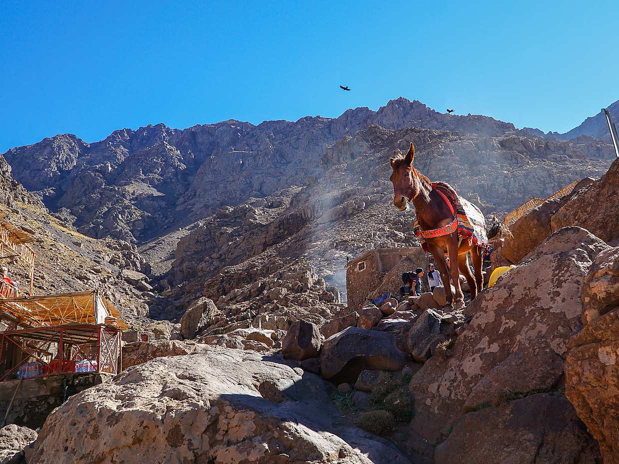 Excursión de 4 días al Toubkal, photo 3