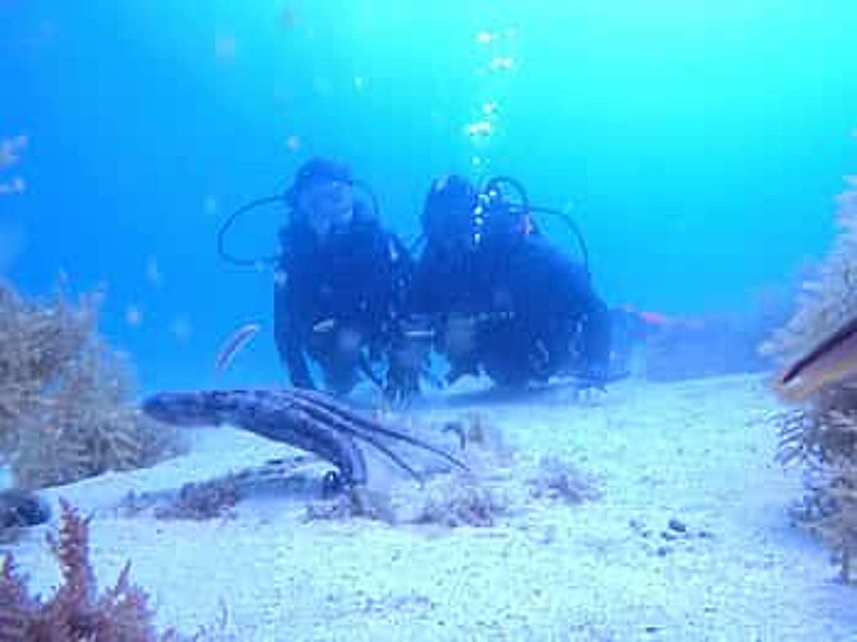 My First Scuba Dive into the Ocean from Sao Miguel Island in Portugal, Azores, photo 2