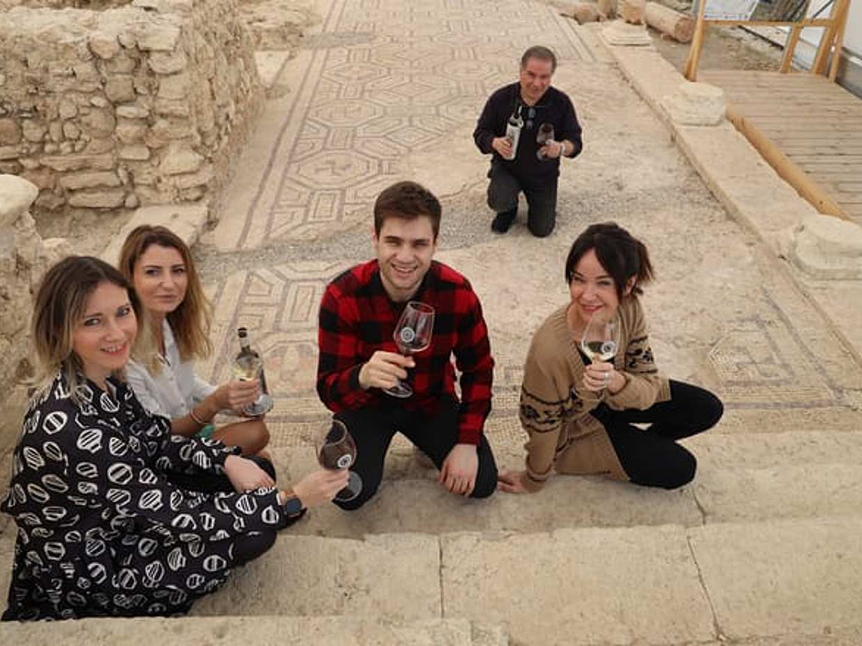Roman Villa Mosaics Tour & Valpolicella Wine Tasting