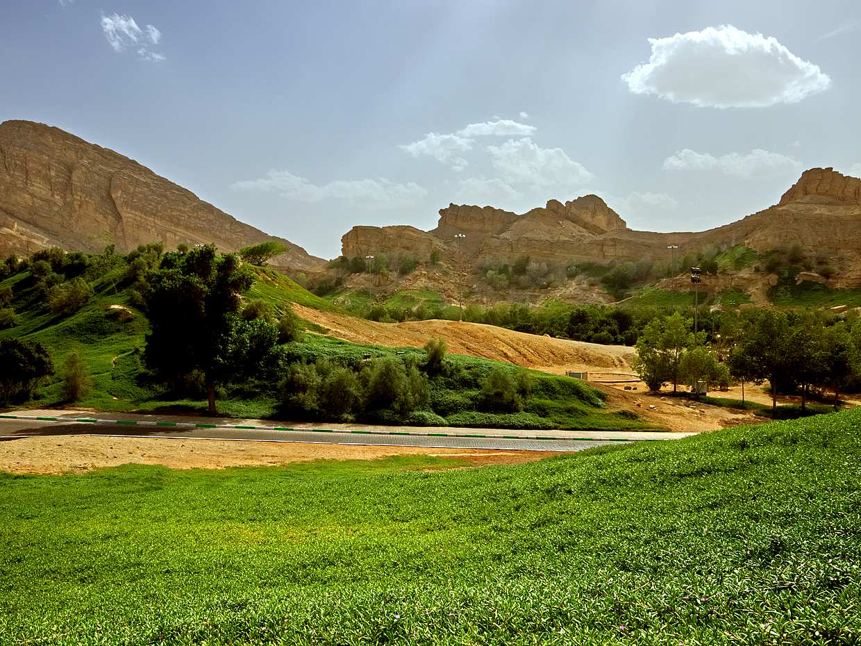 Abu Dabi'den Al Ain Vahasına Tam Günlük Tur, photo 2