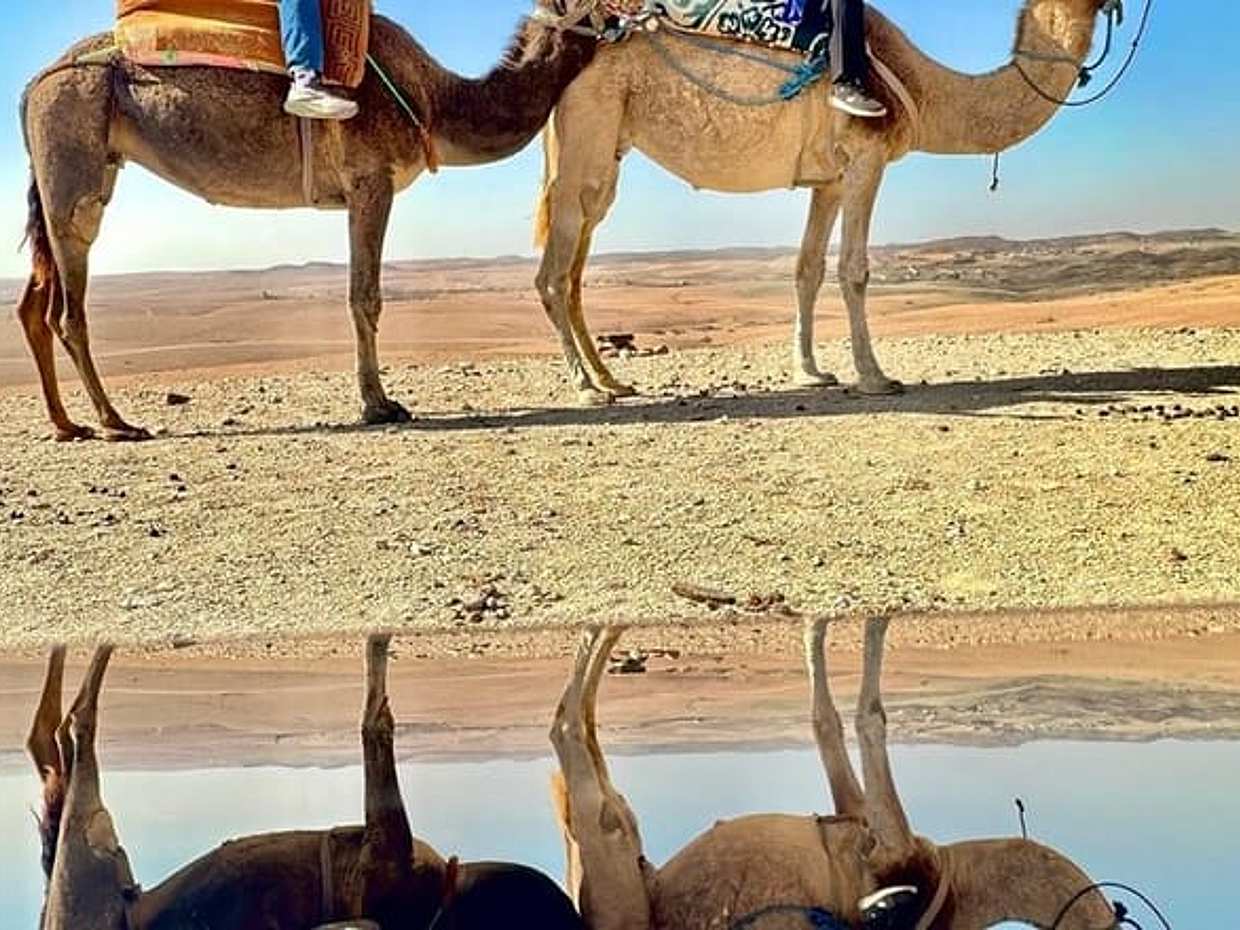 Marrakech Desert Camel Ride, photo 4