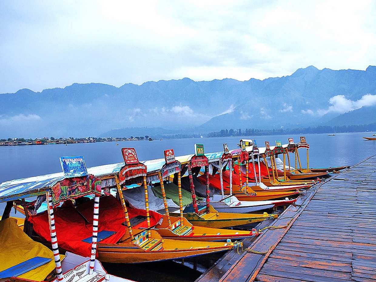 Online Shikara Ride on Dal Lake., photo 3