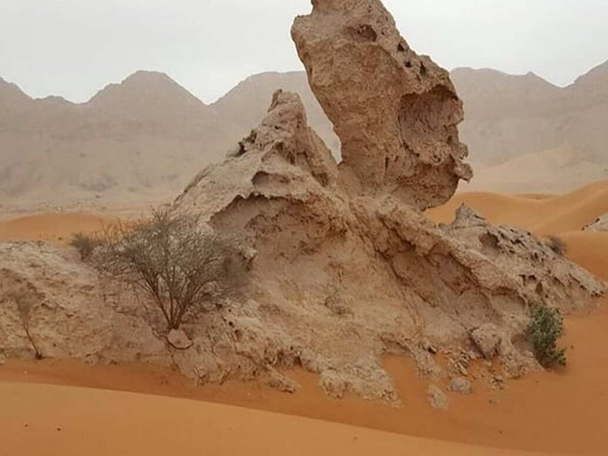 Polodenní sdílené safari Hatta 4x4 s návštěvou Fossil Rock ve Spojených arabských emirátech, Sharjah, photo 3