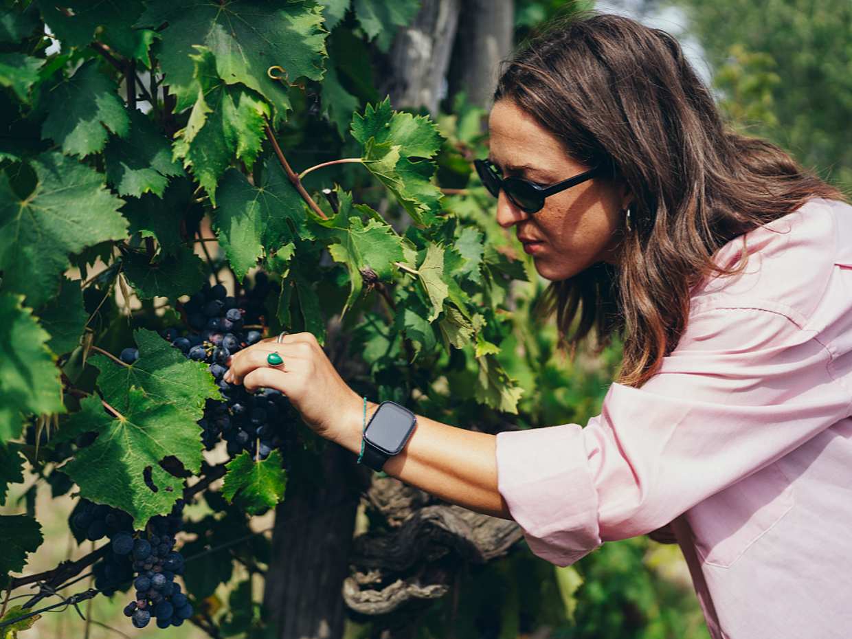 Öğleden Sonra Toskana'da Yerel Bir Sommelier ile. İtalya, Floransa'daki Chianti Kaçamağınız, photo 2