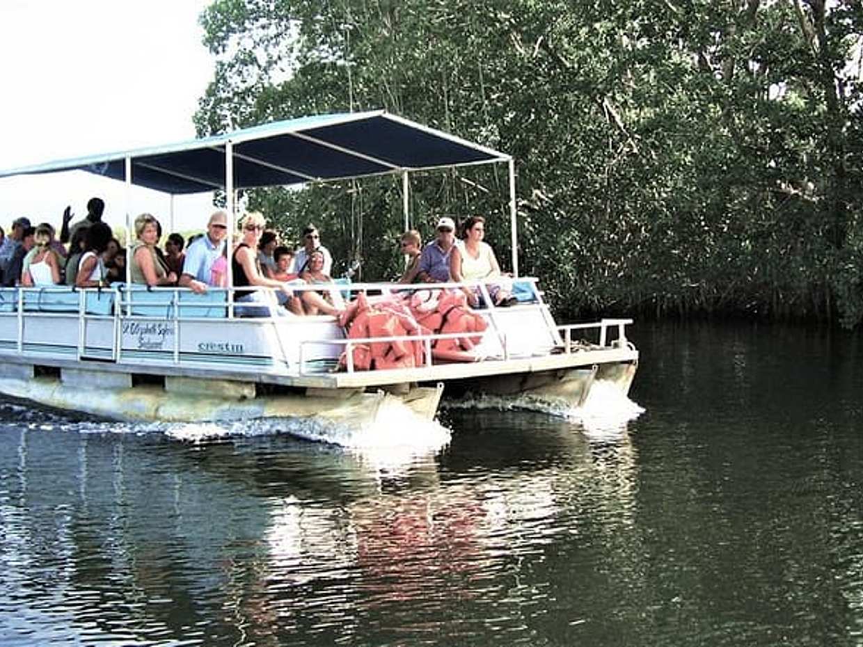 YS Falls and Black River Safari Guided Tour from Montego Bay and Grand Palladium, photo 2