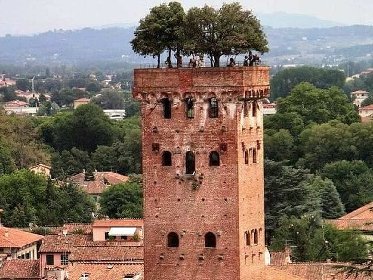 Discover Lucca and Pisa and Enjoy Buccellato Cake: Full Day Tour, photo 5