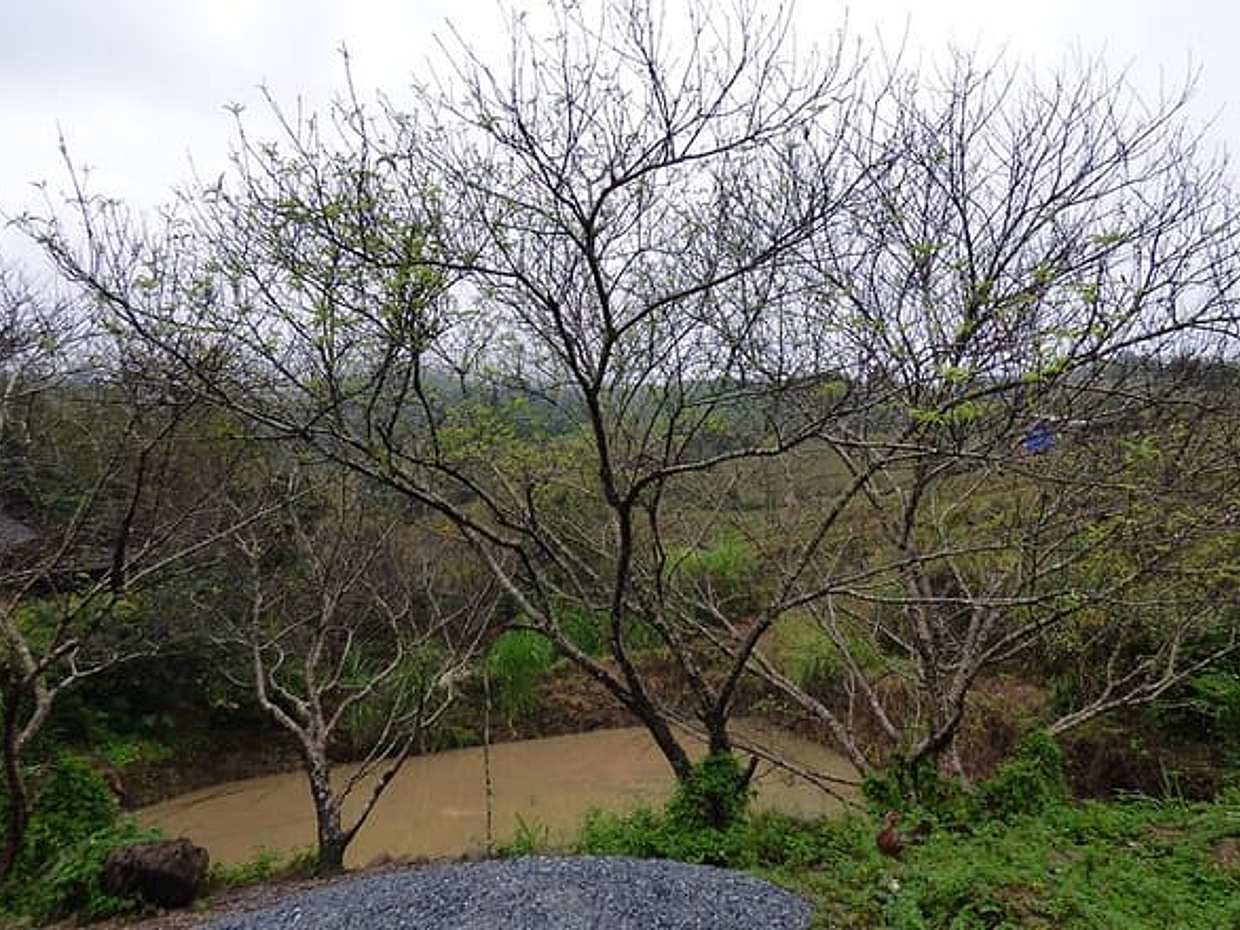 Hanoi - Mai chau Adventure 2 Days 1 Night sleep at bungalow -packaged tour, photo 5