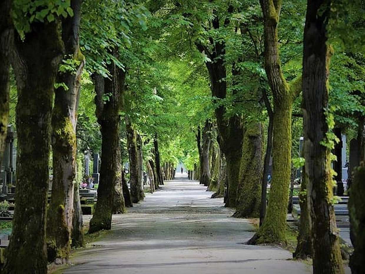 Zadar to Zagreb Private Transfer with Sightseeing Stop, photo 4