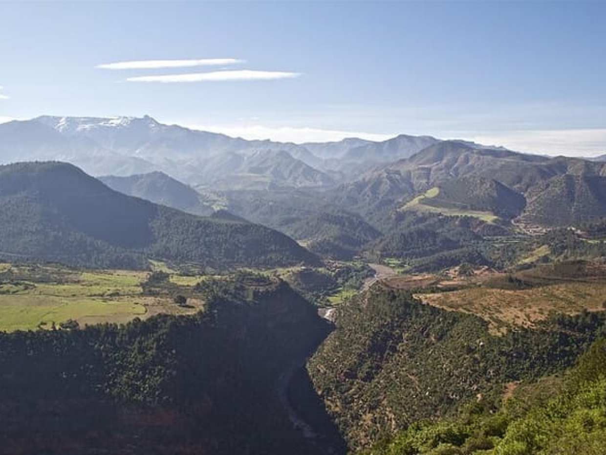 Ourika: The Kingdom of "Noble People" Private Tour, photo 3