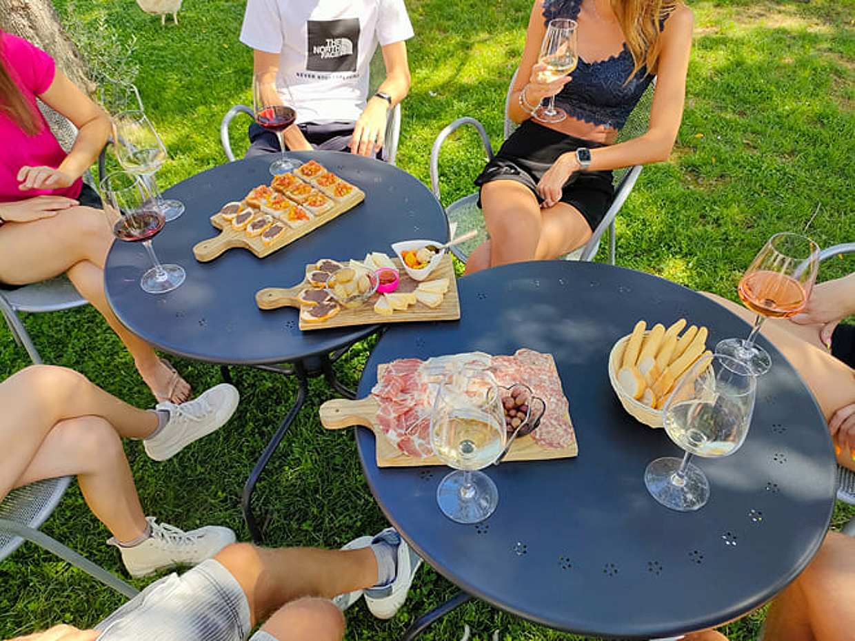 E-Bike Tour and wine tasting in Lazise Countryside, photo 2