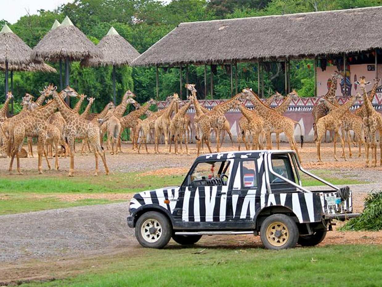 Bangkok: Safari World Tour mit Safari Park Ticket und Transfer in Thailand
