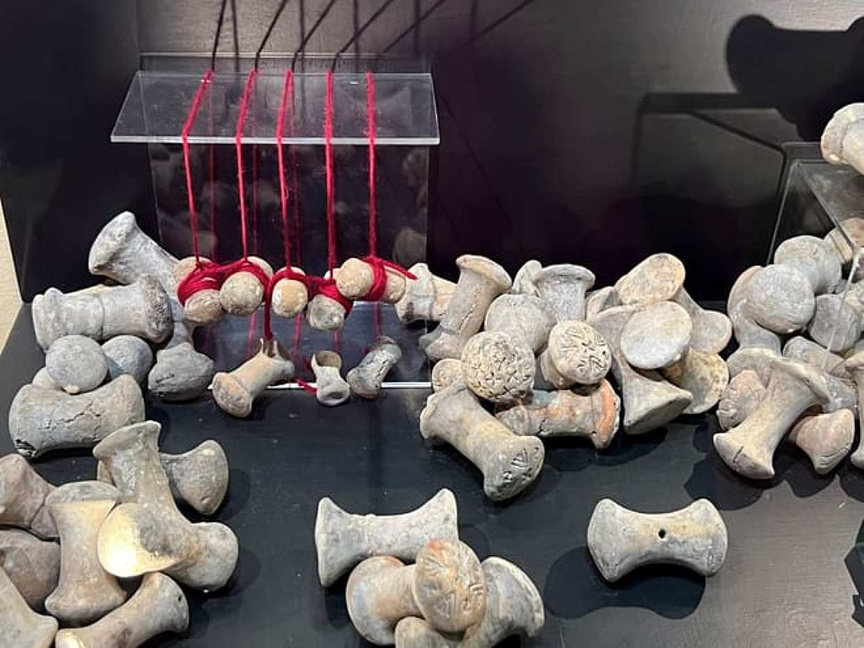 Archeological Museum of Verucchio: guided tour, photo 3