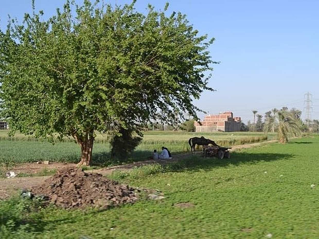 Half-Day Tour To The Egyptian Green Farm With Breakfast