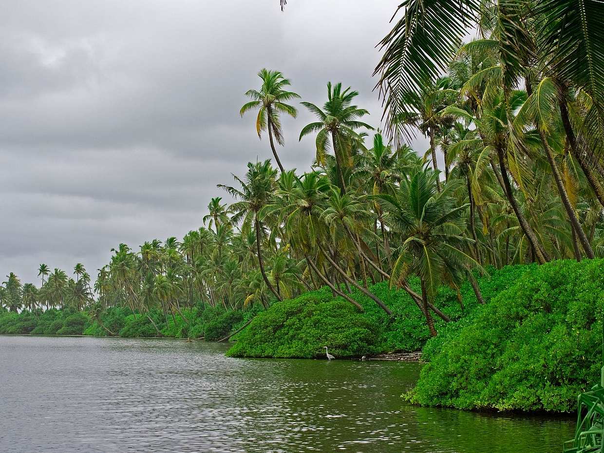 An Insight into Maldives Marine Conservation in Malé, photo 5