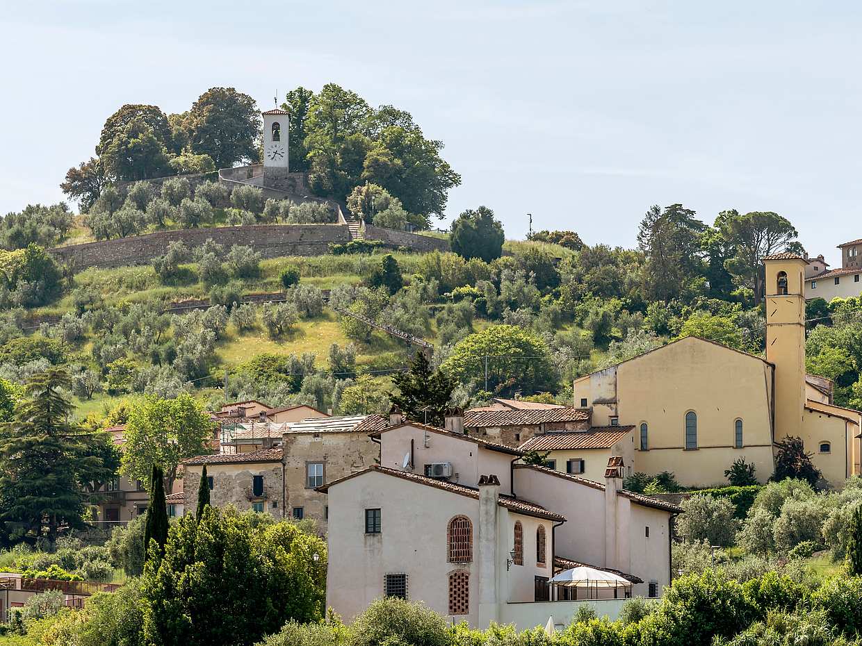 Excursão Privada de Meio Dia de Carmignano: Casa do Primeiro Cabernet-Sauvignon na Toscana, photo 4