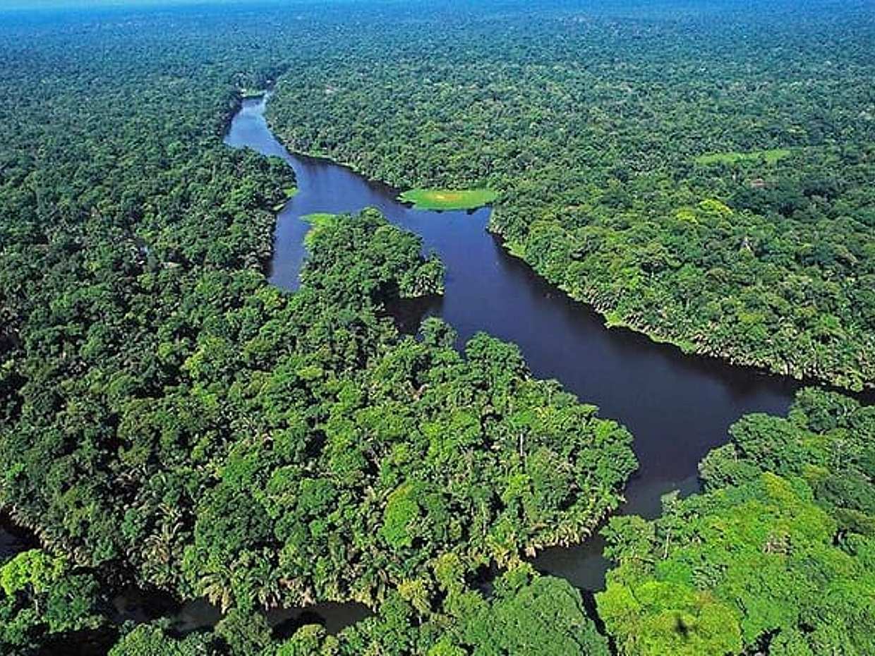 3-Day Tour in Tortuguero National Park with Pick Up