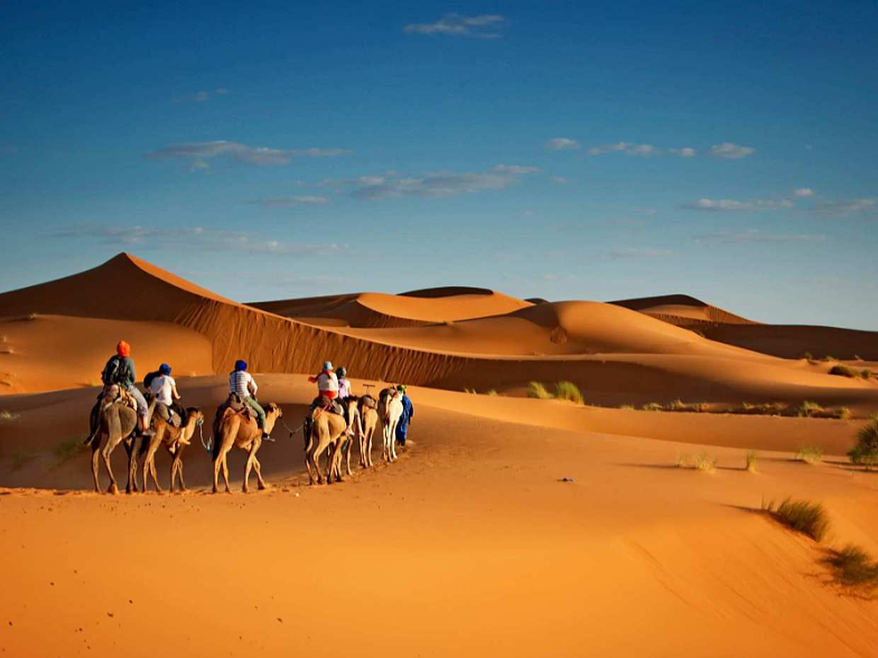 Evening Desert Safari with Quad Bike Ride in Ajman in United Arab Emirates