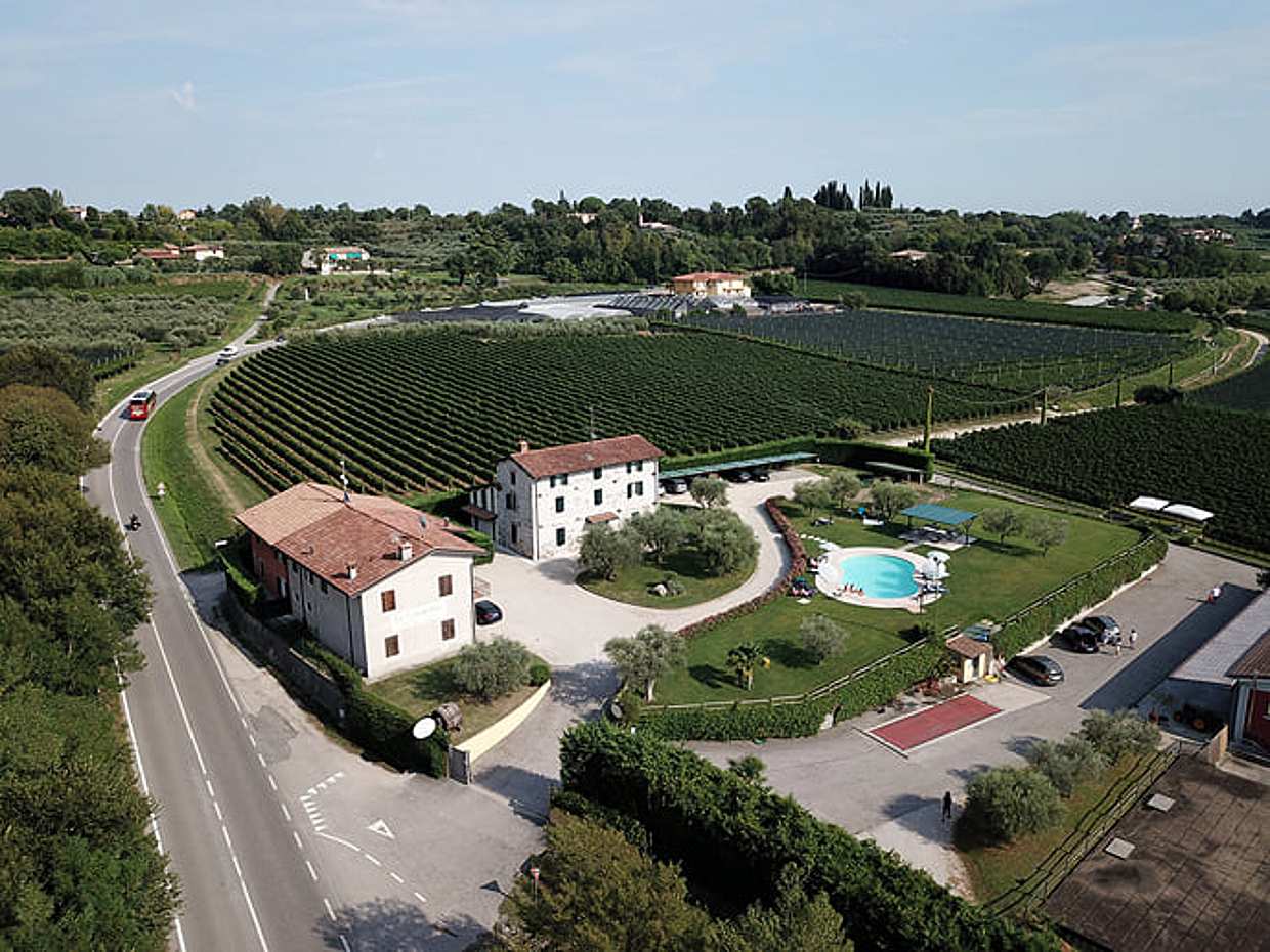 Wine and Food Tasting in the Vineyards, photo 2