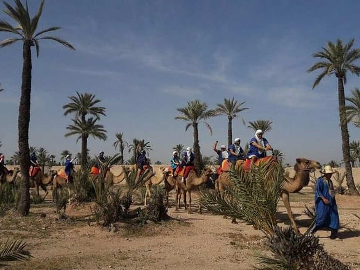 Authentic 1-Hour Camel Ride Adventure