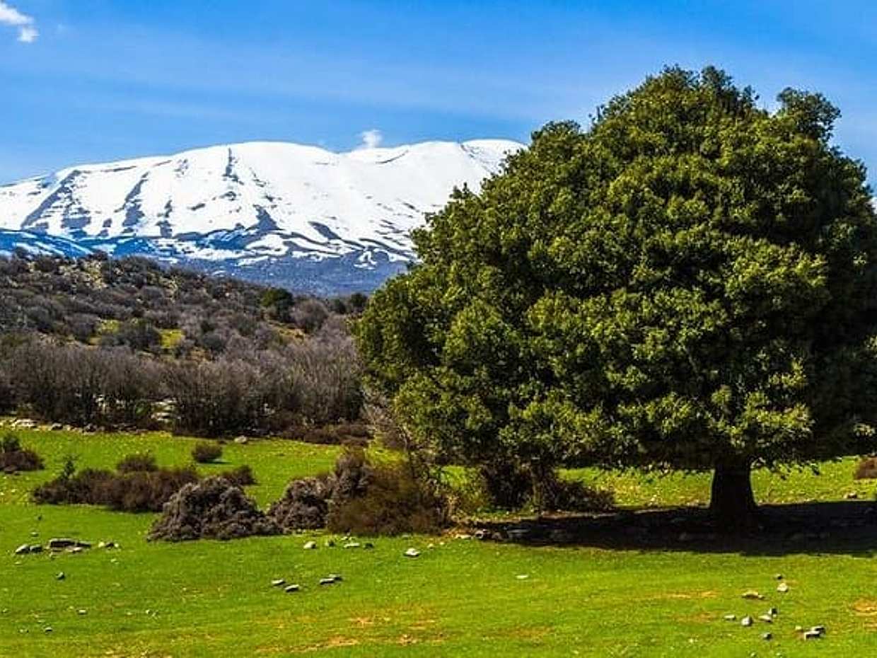 Samaria – Ein langer Weg von Rethymno in Griechenland, photo 4