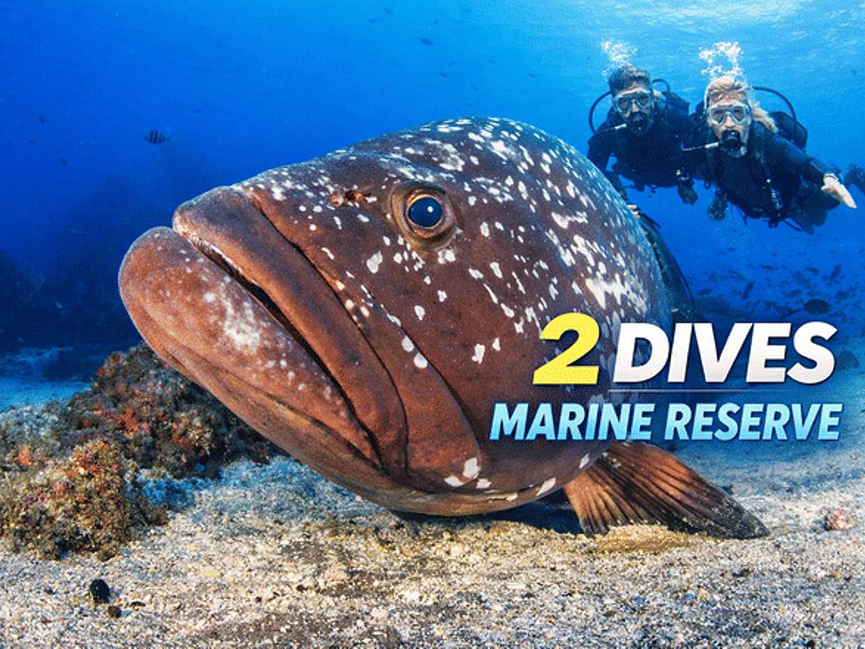 2 Duiken trip | Garajau Marine Reserve in Portugal, Funchal