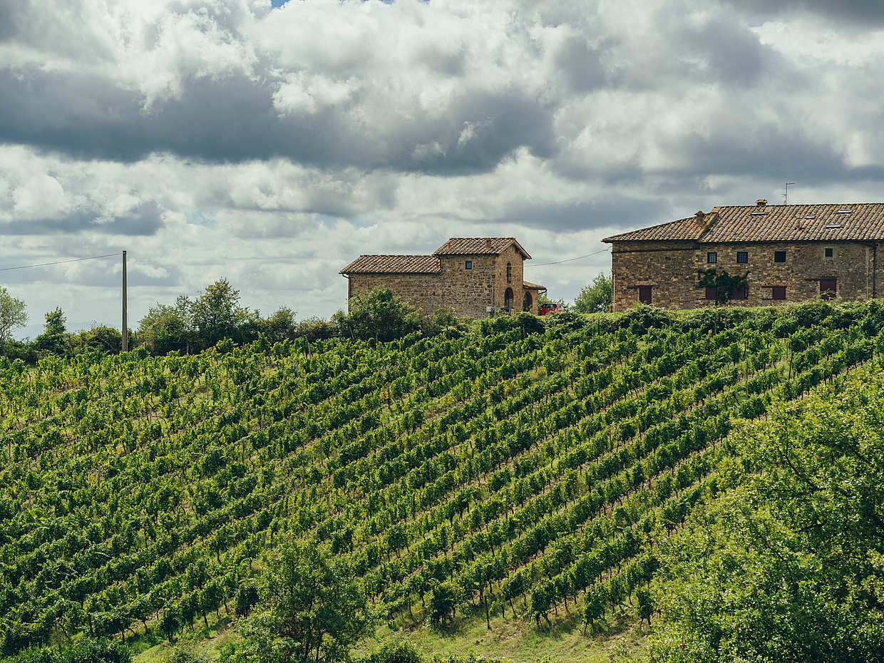 Full Day Chianti Tour Small Group with Local Sommelier in Italy, Florence, photo 5