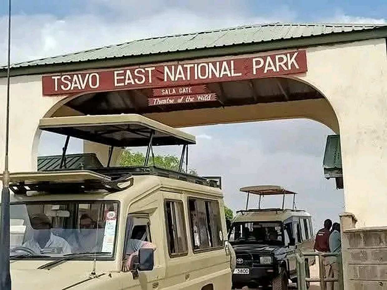 1-Day Tsavo National Park Safari from Diani in Kenya, Diani Beach, photo 2