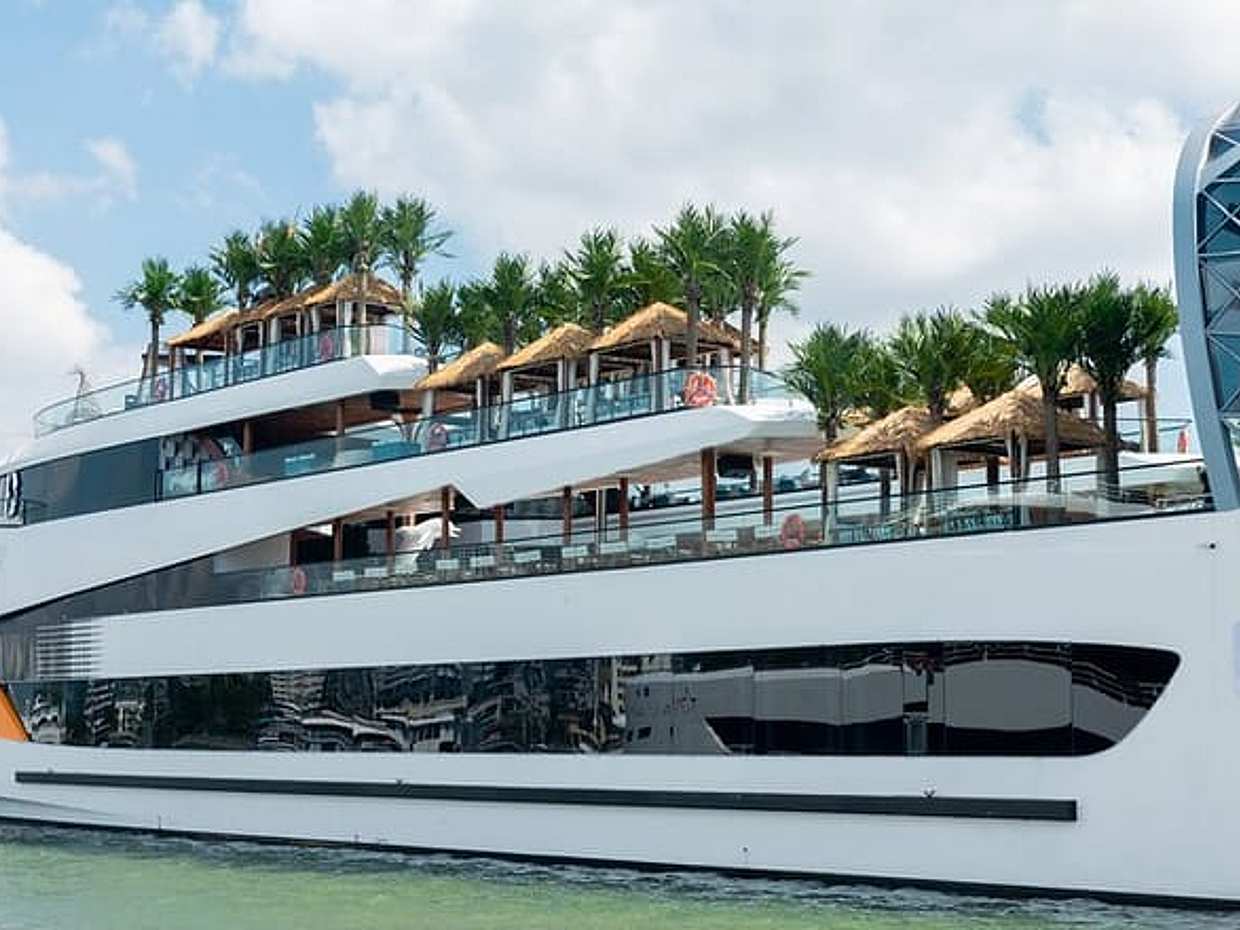 Dolphin Cruise A Floating Mini Resort in Halong Bay Day Cruise, photo 2
