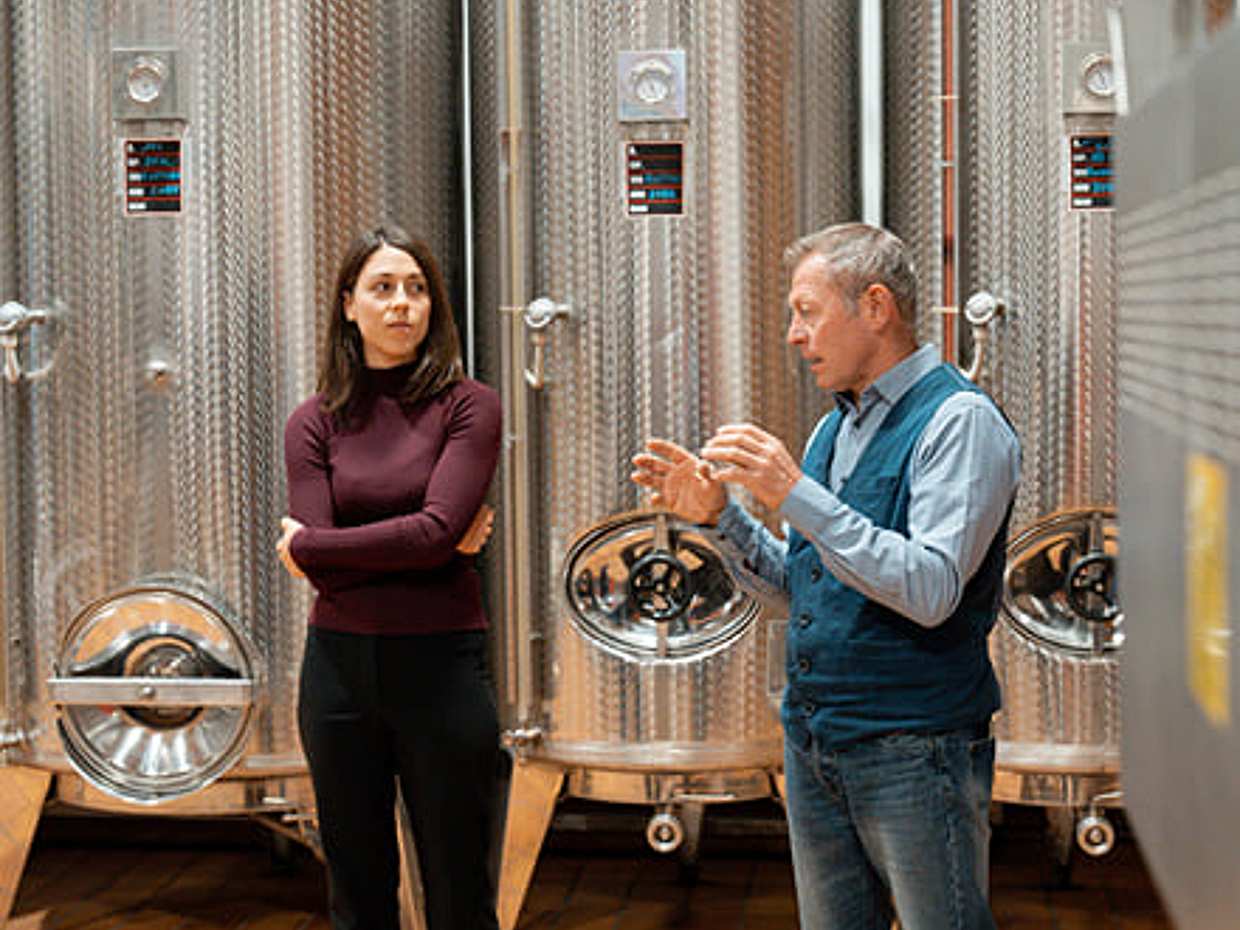 Lake Garda: Authentic Winery Tour with Local Producers, photo 2