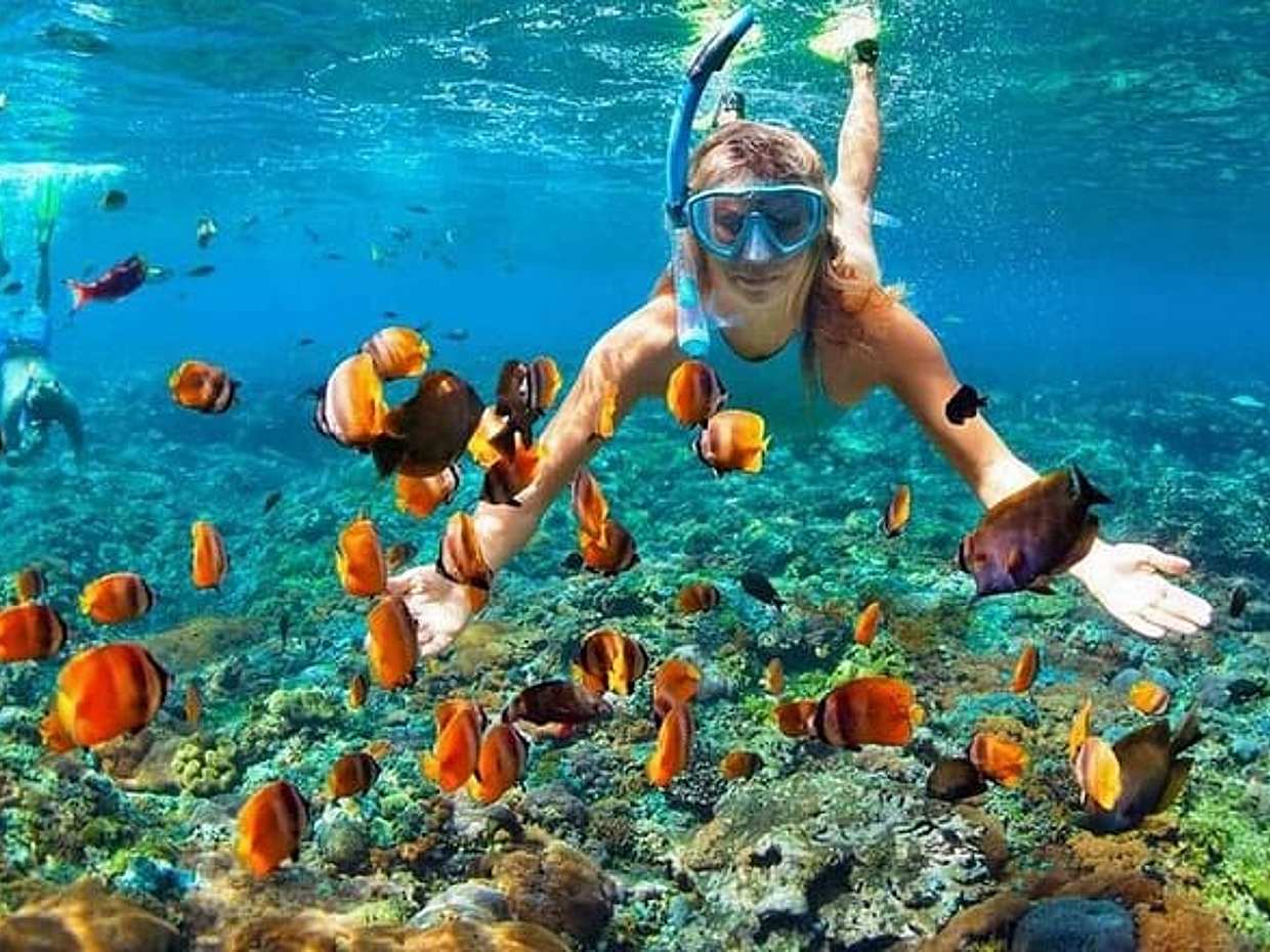 Snorkeling & Sunset BBQ Dinner In Phu Quoc Island Tour