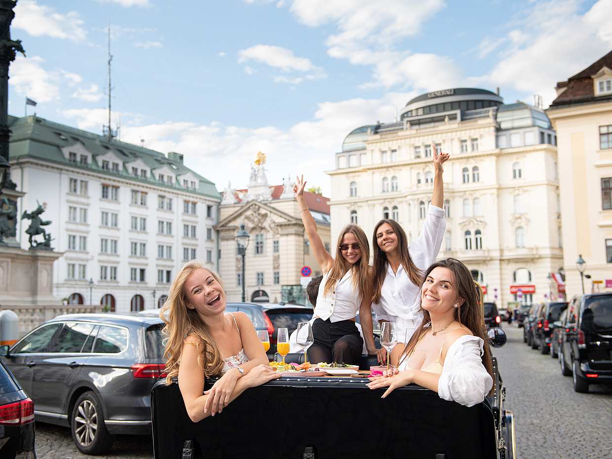 "Wiedeńska wycieczka objazdowa i kolacja w klasycznym zabytkowym samochodzie w Austrii", photo 5