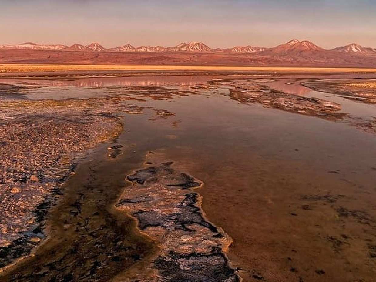 San Pedro de Atacama, Laguna de Chaxa και Toconao - Μισή μέρα, Χιλή, photo 3
