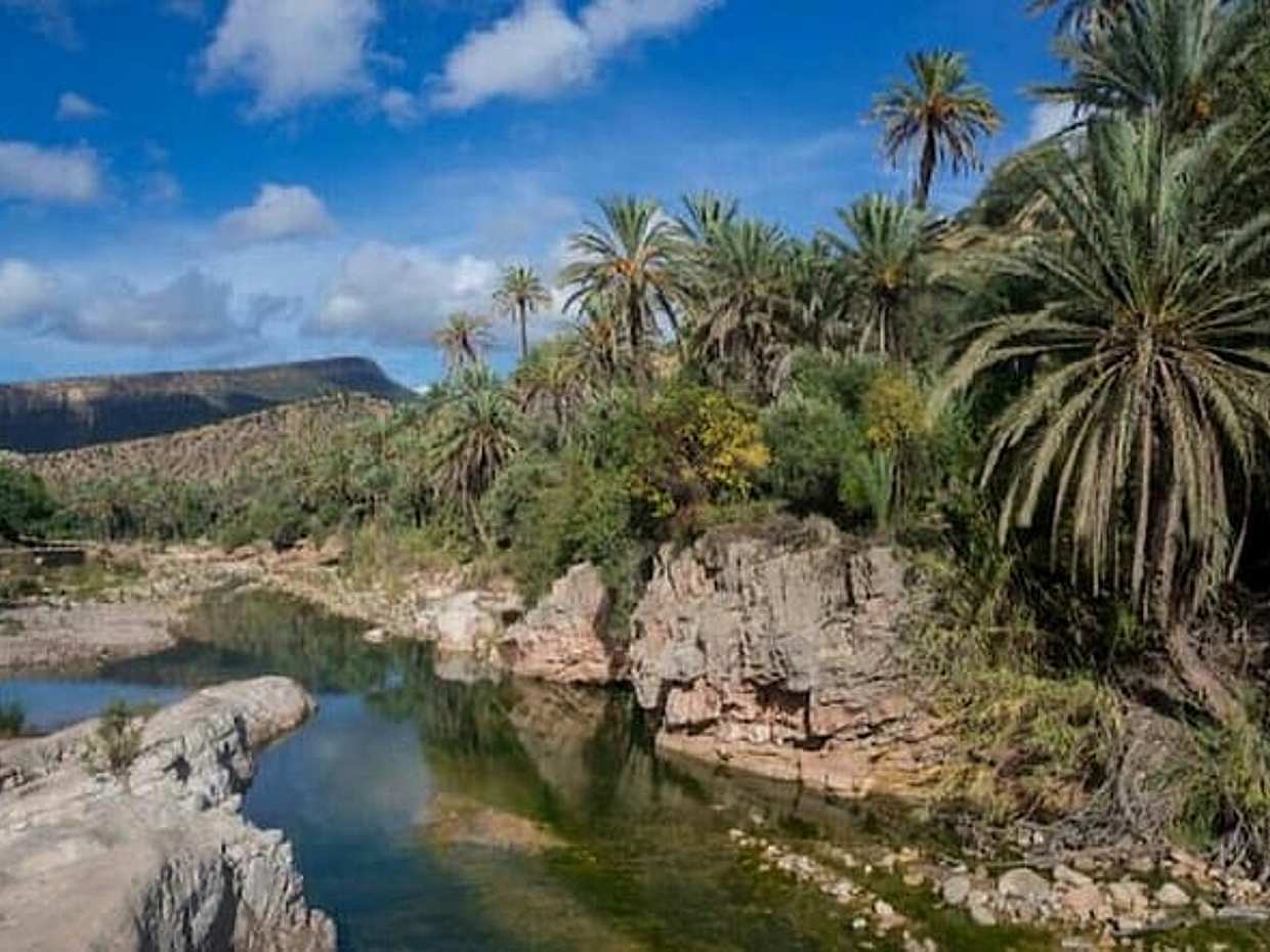Agadir Paradise valley excursion & Breakfast, photo 4
