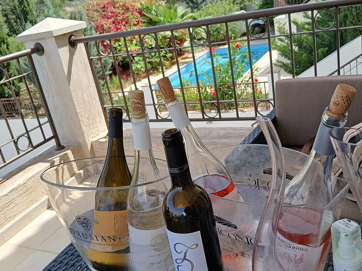 Private Wine and Cheese Tasting Experience in Cyprus at Your Villa, Cyprus Wine and Cheese Tasting, photo 3