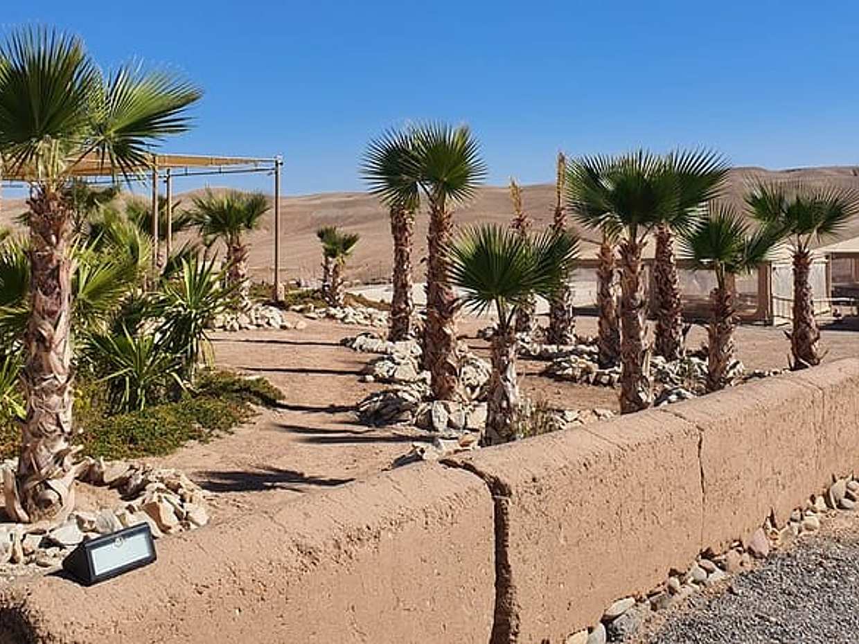 Private Agafay Desert, Sunset, Camel Ride And Diner, photo 5