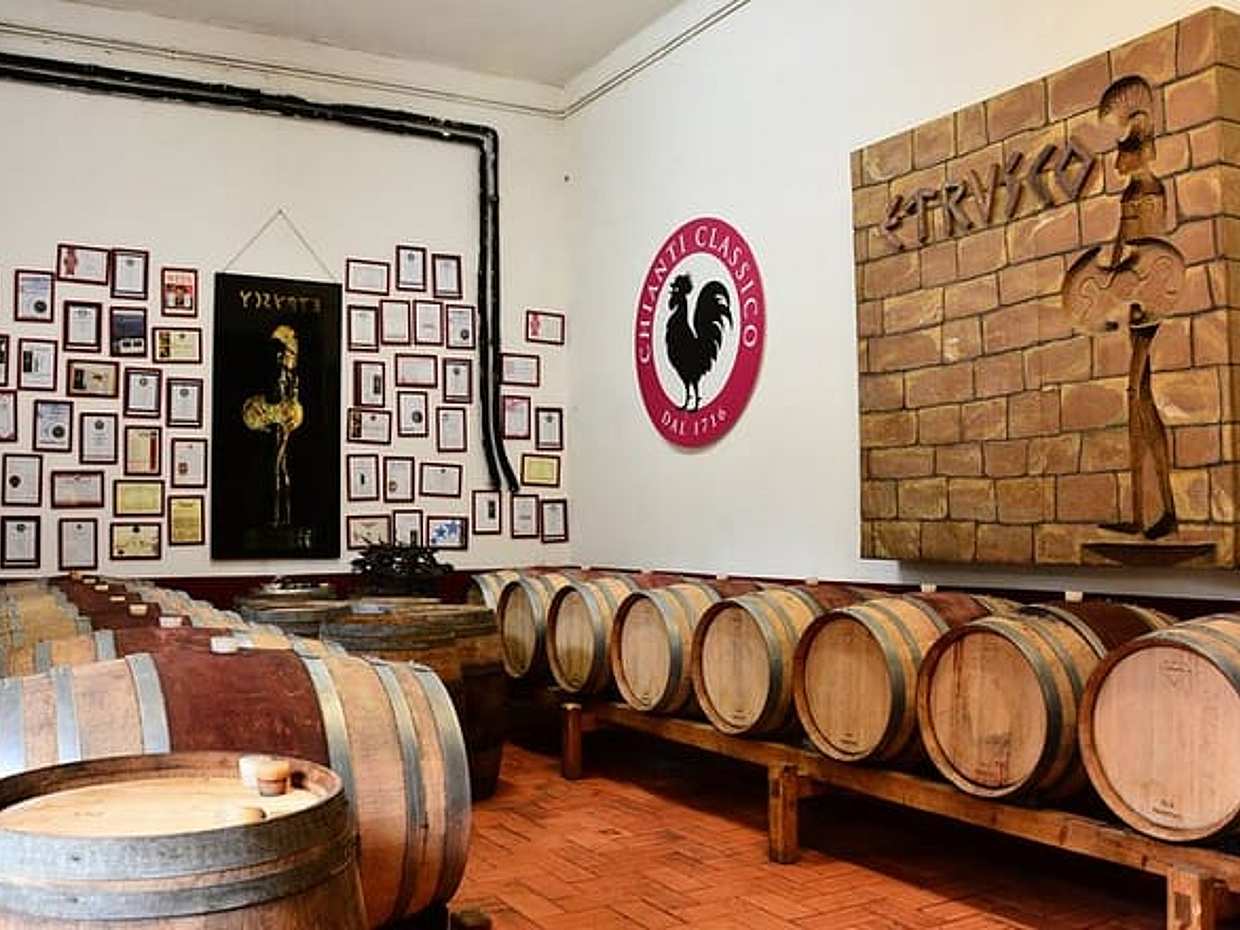Exclusive Private Chianti Classico Experience Day Trip from Florence, photo 3