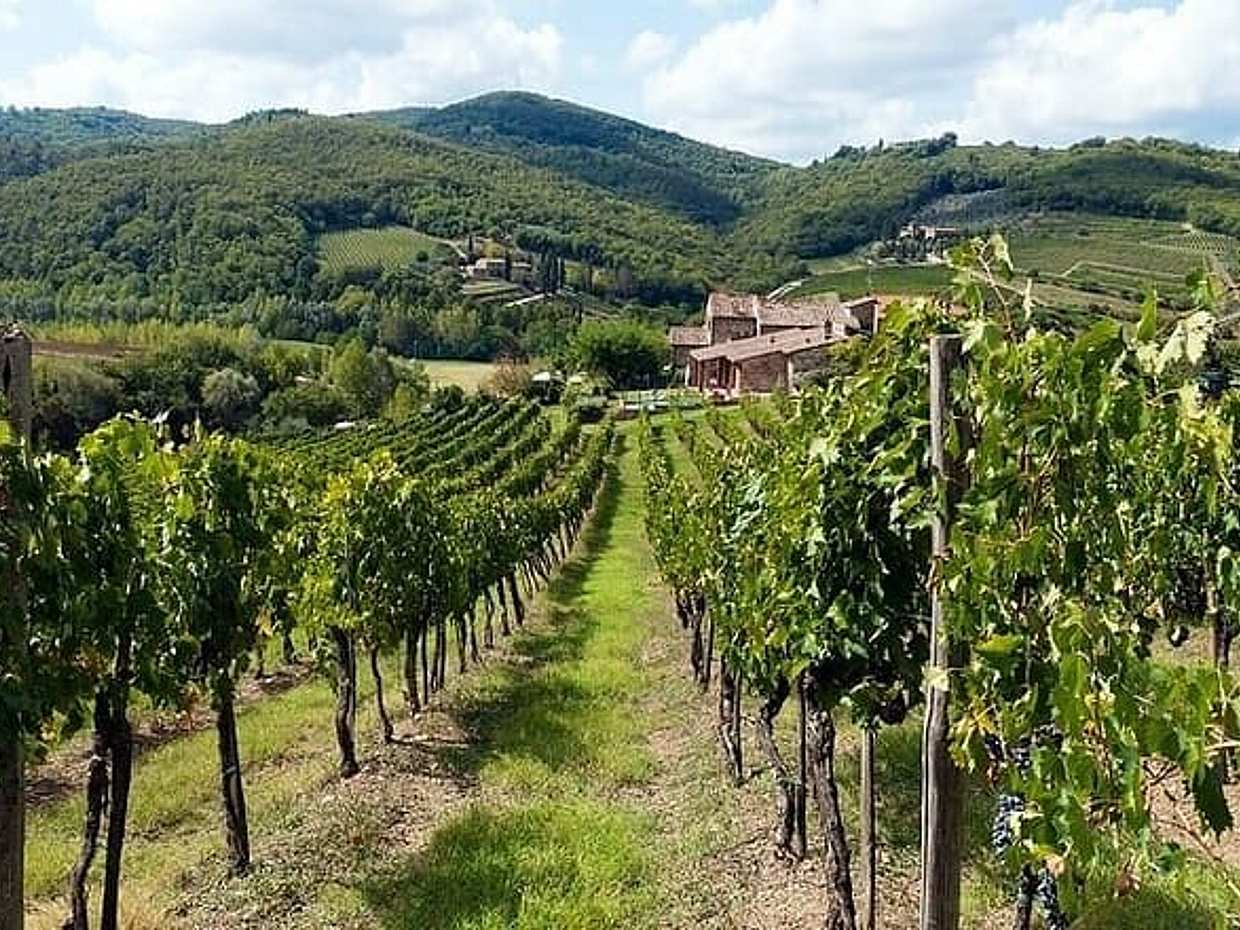 Full Day Chianti, San Gimignano and Siena Tour with Wine Tastings, photo 2