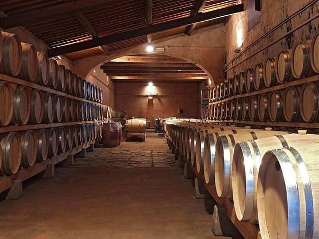 Půldenní prohlídka vín Brunello di Montalcino ze Sieny v Itálii, photo 5
