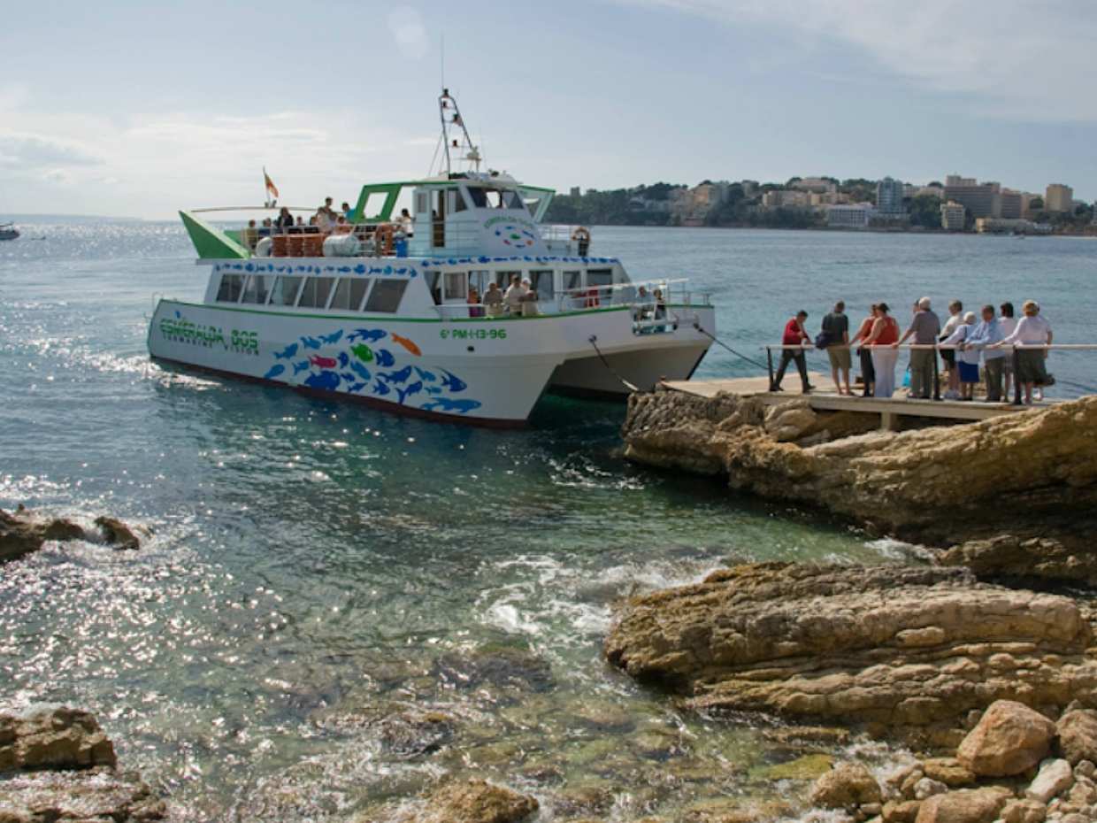 Two-Hour Dolphin Spotting Catamaran Cruise Ticket, photo 2