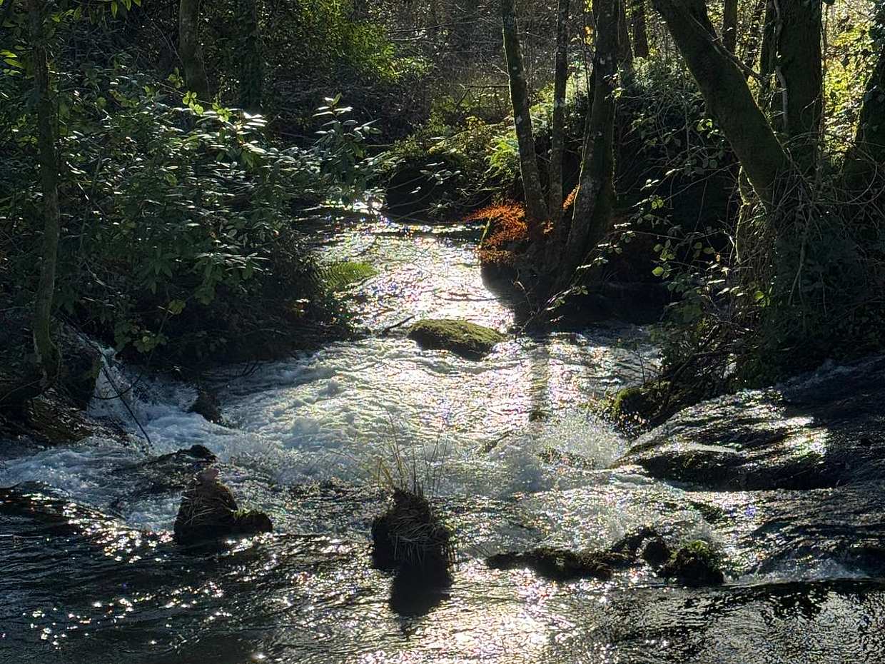 Hiking in Minho Region in Portugal, Braga, photo 2