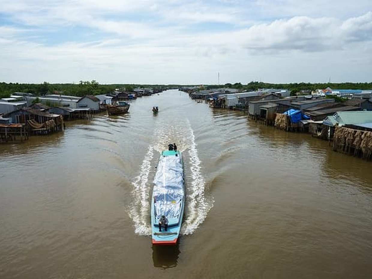 1-day Mekong Delta Tour: Cai Be Market, Local Island and Cycling in Vietnam, Ho Chi Minh City, photo 3