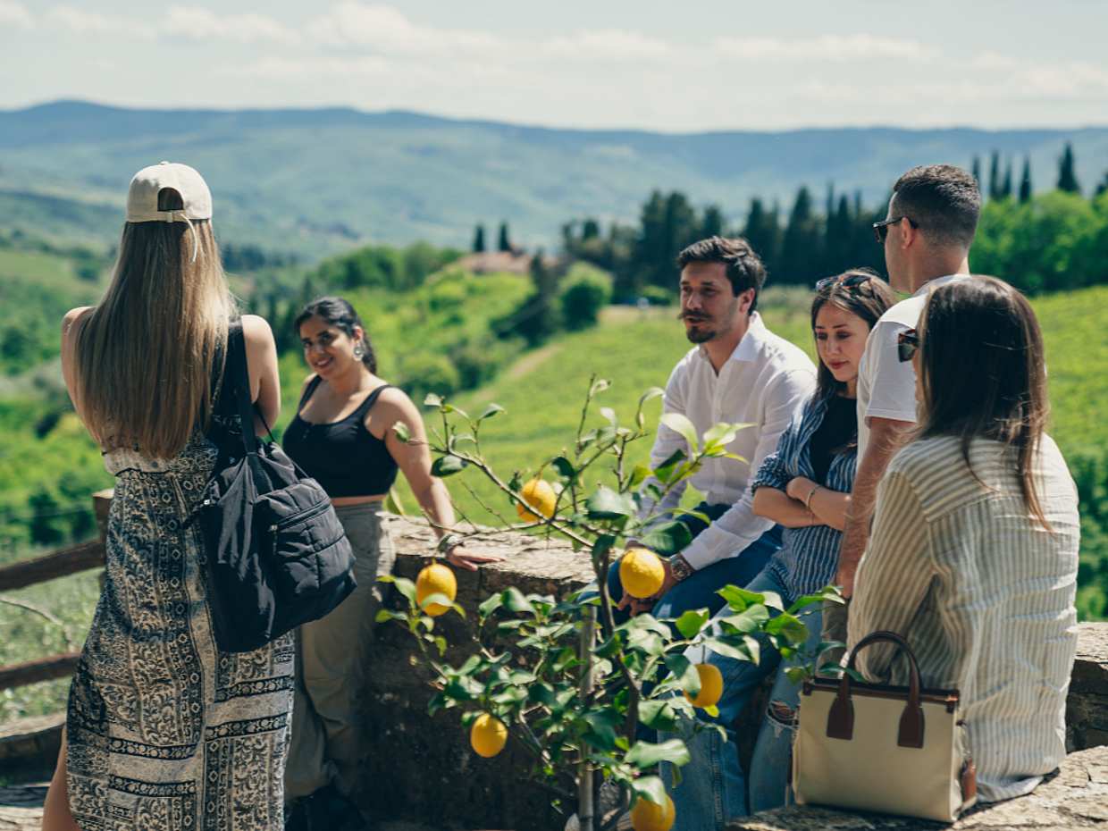 Full Day Chianti Tour Small Group with Local Sommelier in Italy, Florence, photo 2