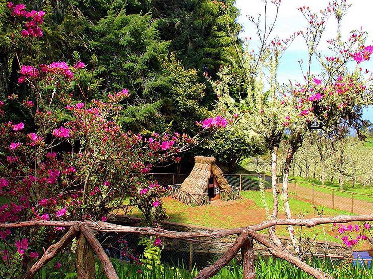Queimadas, Caldeirão Verde Full-day Walking Tour in Portugal, Funchal