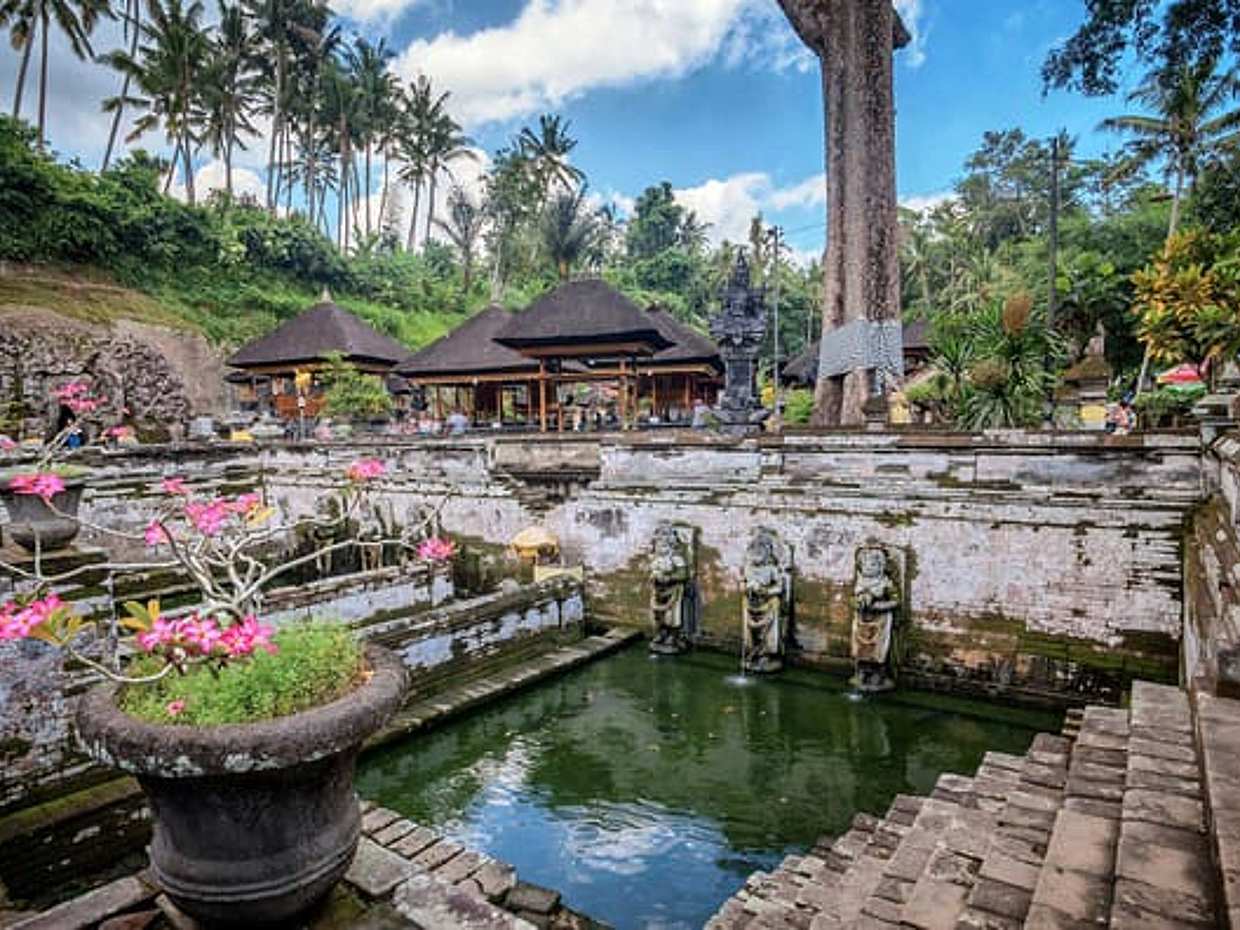 Private Ubud Highlights Tour with Tirta Empul and Rice Terrace, photo 2